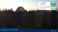 Archived image Webcam Neuschönau - National Park Center Hans-Eisemann-Haus 04:00