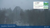 Archiv Foto Webcam Neuschönau - Nationalparkzentrum Hans-Eisemann- Haus 00:00