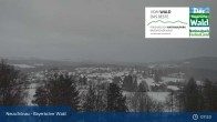 Archiv Foto Webcam Neuschönau - Nationalparkzentrum Hans-Eisemann- Haus 07:00