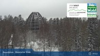 Archiv Foto Webcam Neuschönau - Nationalparkzentrum Hans-Eisemann- Haus 08:00