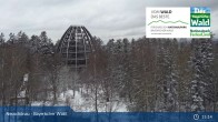 Archiv Foto Webcam Neuschönau - Nationalparkzentrum Hans-Eisemann- Haus 14:00