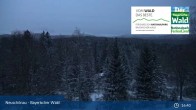 Archiv Foto Webcam Neuschönau - Nationalparkzentrum Hans-Eisemann- Haus 16:00