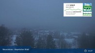 Archived image Webcam Neuschönau - National Park Center Hans-Eisemann-Haus 02:00