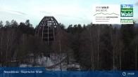 Archived image Webcam Neuschönau - National Park Center Hans-Eisemann-Haus 08:00