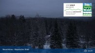 Archived image Webcam Neuschönau - National Park Center Hans-Eisemann-Haus 00:00