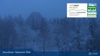 Archived image Webcam Neuschönau - National Park Center Hans-Eisemann-Haus 07:00