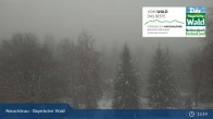 Archived image Webcam Neuschönau - National Park Center Hans-Eisemann-Haus 12:00