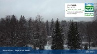 Archived image Webcam Neuschönau - National Park Center Hans-Eisemann-Haus 14:00