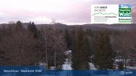 Archived image Webcam Neuschönau - National Park Center Hans-Eisemann-Haus 02:00