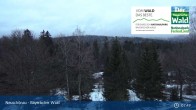 Archiv Foto Webcam Neuschönau - Nationalparkzentrum Hans-Eisemann- Haus 07:00