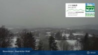 Archiv Foto Webcam Neuschönau - Nationalparkzentrum Hans-Eisemann- Haus 08:00