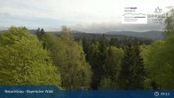 Archived image Webcam Neuschönau - National Park Center Hans-Eisemann-Haus 08:00