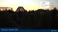 Archiv Foto Webcam Neuschönau - Nationalparkzentrum Hans-Eisemann- Haus 02:00