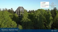 Archiv Foto Webcam Neuschönau - Nationalparkzentrum Hans-Eisemann- Haus 06:00