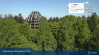 Archived image Webcam Neuschönau - National Park Center Hans-Eisemann-Haus 08:00
