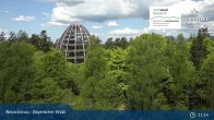 Archived image Webcam Neuschönau - National Park Center Hans-Eisemann-Haus 10:00