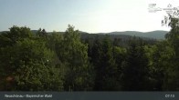 Archiv Foto Webcam Neuschönau - Nationalparkzentrum Hans-Eisemann- Haus 06:00