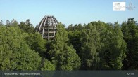 Archiv Foto Webcam Neuschönau - Nationalparkzentrum Hans-Eisemann- Haus 07:00