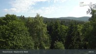 Archiv Foto Webcam Neuschönau - Nationalparkzentrum Hans-Eisemann- Haus 08:00