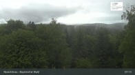 Archived image Webcam Neuschönau - National Park Center Hans-Eisemann-Haus 06:00
