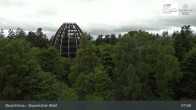 Archived image Webcam Neuschönau - National Park Center Hans-Eisemann-Haus 07:00