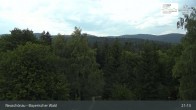 Archived image Webcam Neuschönau - National Park Center Hans-Eisemann-Haus 02:00