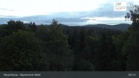 Archived image Webcam Neuschönau - National Park Center Hans-Eisemann-Haus 04:00