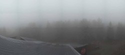 Archived image Webcam Tree Top Walk Bavarian Forest in Neuschönau 09:00