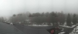 Archiv Foto Webcam Baumwipfelpfad Bayerischer Wald bei Neuschönau 11:00