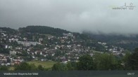 Archived image Webcam Bavarian Forest - Waldkirchen 08:00