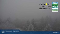 Archiv Foto Webcam Aussichtsturm Brotjacklriegel 08:00