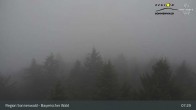 Archiv Foto Webcam Aussichtsturm Brotjacklriegel 01:00