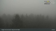Archiv Foto Webcam Aussichtsturm Brotjacklriegel 02:00