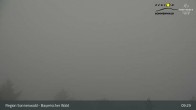 Archiv Foto Webcam Aussichtsturm Brotjacklriegel 03:00
