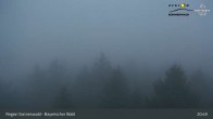 Archiv Foto Webcam Aussichtsturm Brotjacklriegel 20:00