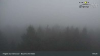 Archiv Foto Webcam Aussichtsturm Brotjacklriegel 08:00