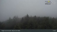 Archiv Foto Webcam Aussichtsturm Brotjacklriegel 10:00