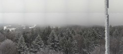 Archiv Foto Webcam Brotjacklriegel - Panoramablick vom Aussichtsturm 11:00