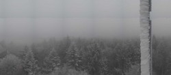 Archiv Foto Webcam Brotjacklriegel - Panoramablick vom Aussichtsturm 07:00