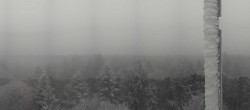 Archiv Foto Webcam Brotjacklriegel - Panoramablick vom Aussichtsturm 09:00