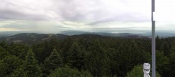 Archiv Foto Webcam Brotjacklriegel - Panoramablick vom Aussichtsturm 00:00