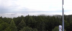 Archiv Foto Webcam Brotjacklriegel - Panoramablick vom Aussichtsturm 05:00