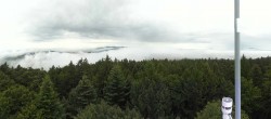 Archiv Foto Webcam Brotjacklriegel - Panoramablick vom Aussichtsturm 07:00