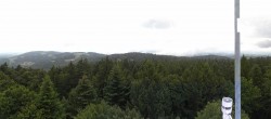 Archiv Foto Webcam Brotjacklriegel - Panoramablick vom Aussichtsturm 11:00