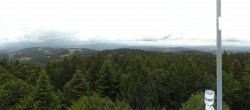 Archiv Foto Webcam Brotjacklriegel - Panoramablick vom Aussichtsturm 13:00