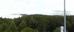 Archiv Foto Webcam Brotjacklriegel - Panoramablick vom Aussichtsturm 07:00