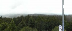 Archiv Foto Webcam Brotjacklriegel - Panoramablick vom Aussichtsturm 11:00