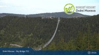 Archived image Webcam Dolni Morava - Slopes at U Slona Chairlift 08:00