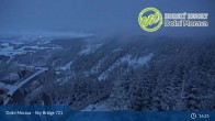 Archiv Foto Webcam Dolni Morava - Sessellift U Slona 16:00