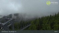 Archived image Webcam Dolni Morava - Slopes at U Slona Chairlift 08:00